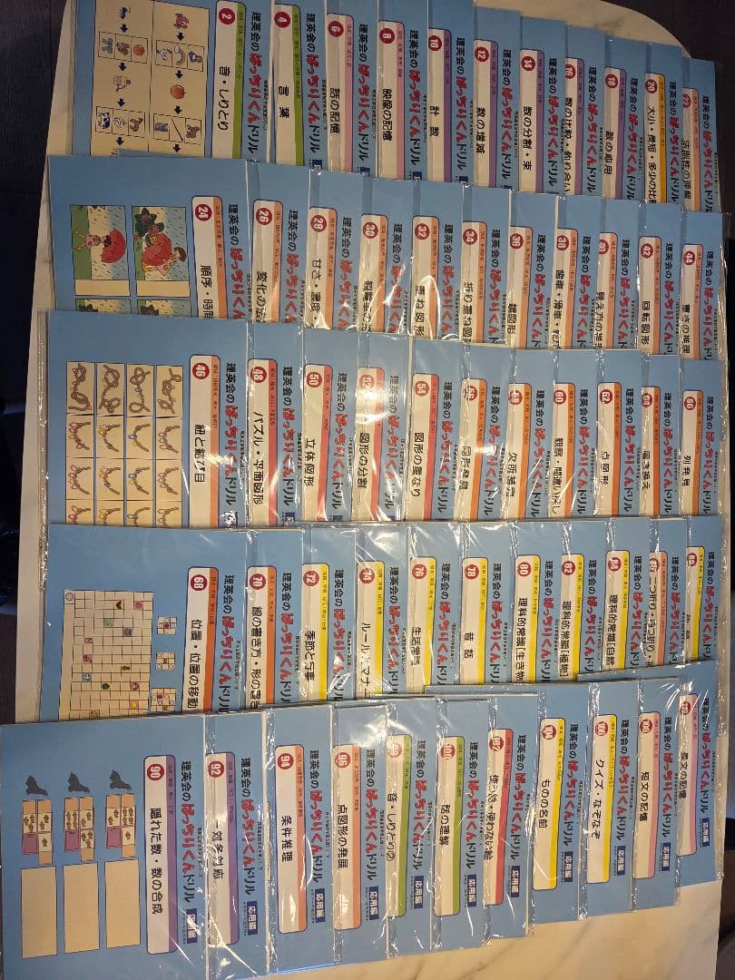 【cshoizno】3/1 理英会のばっちりくんドリル　応用編　全55冊