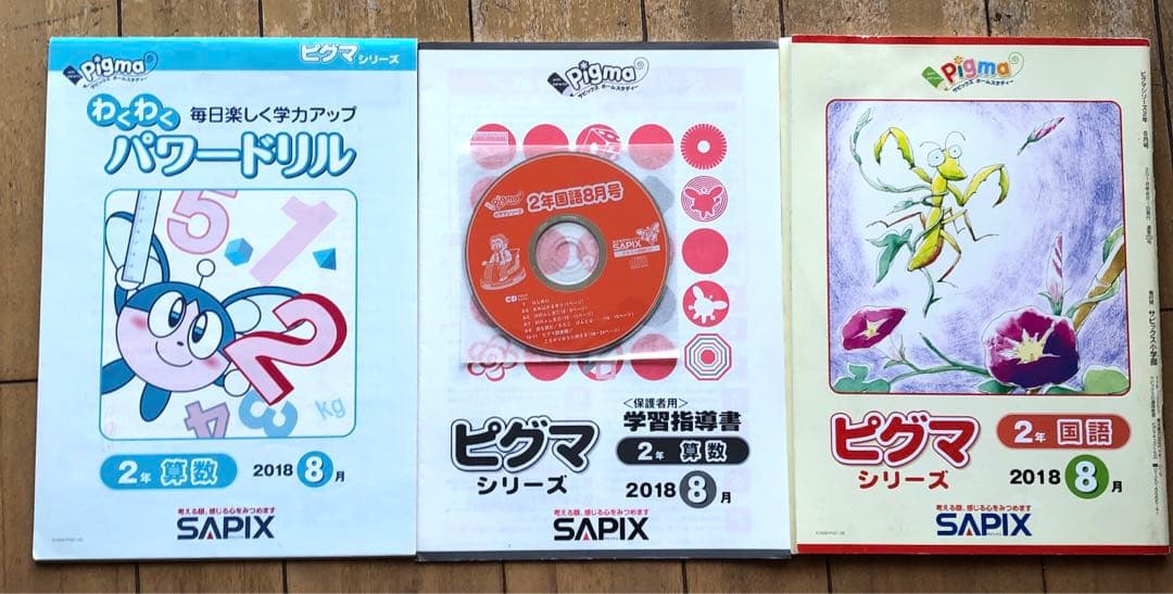 ピグマキッズ　2年生