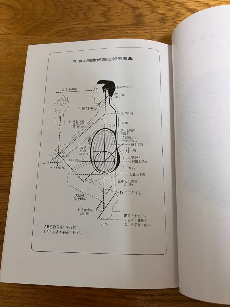 国民医術天真法 肥田春充 壮神社 丹田 呼吸法 健康法 肥田式強健術