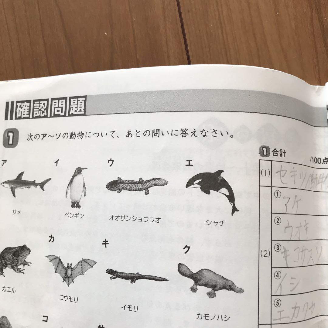 サピックス　5年　理科　テキスト　1年分