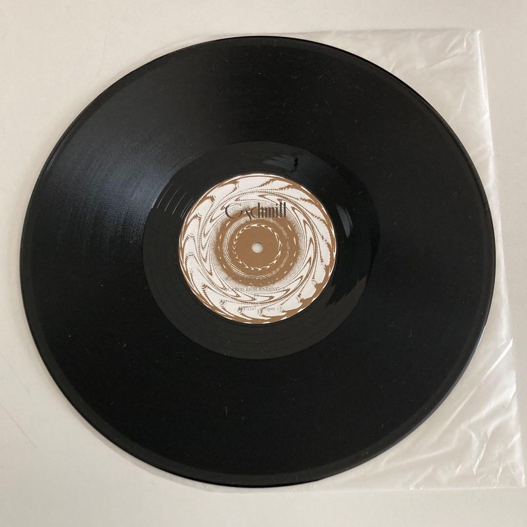 美品! G-SCHMITT レコード 2枚