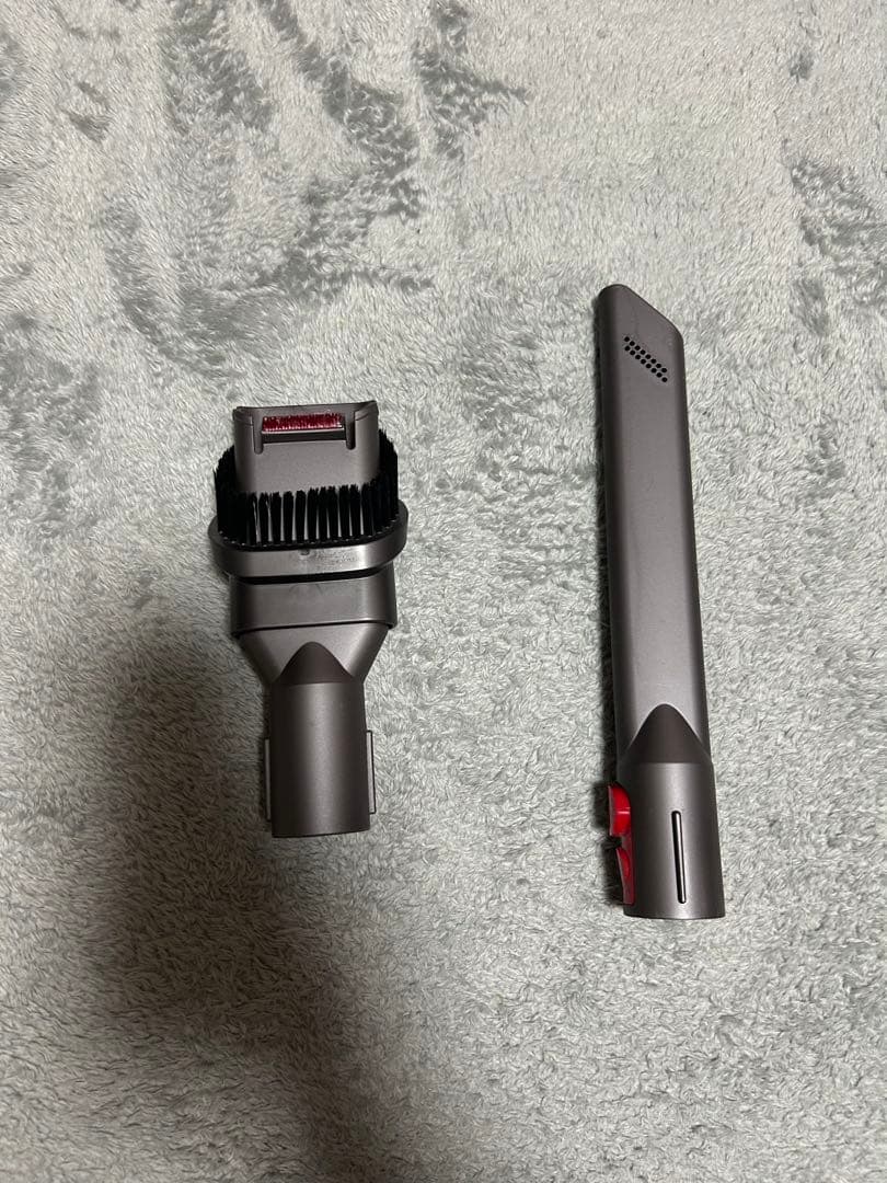 月に負けた犬　Dyson cyclone v10 fluffy 本体