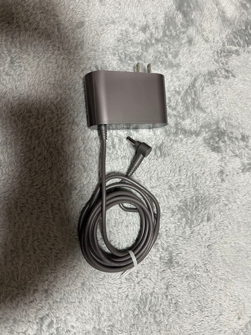 月に負けた犬　Dyson cyclone v10 fluffy 本体