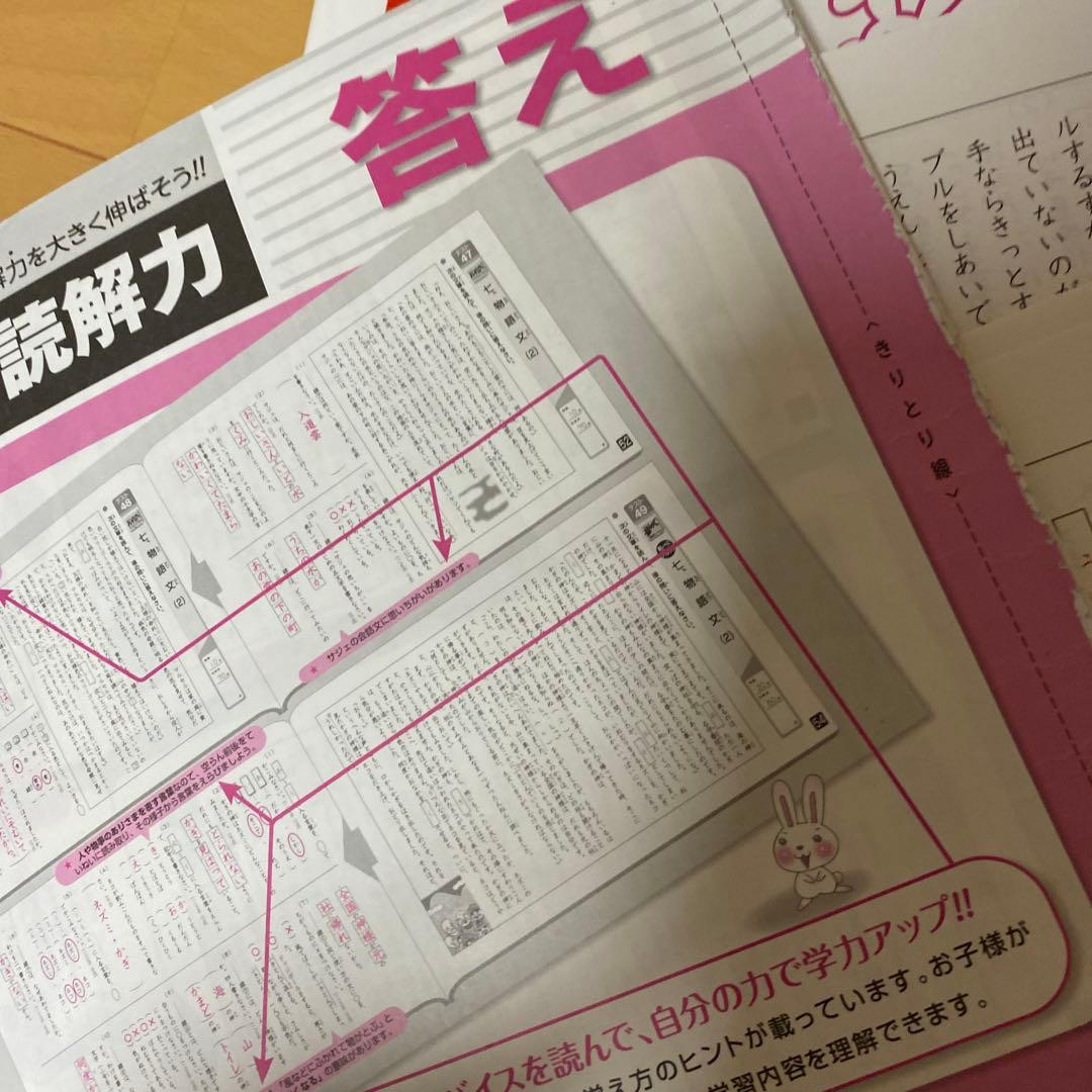 SAPIXα 日能研TM特待生スタート 中学受験対策 問題集セット　断裁済み