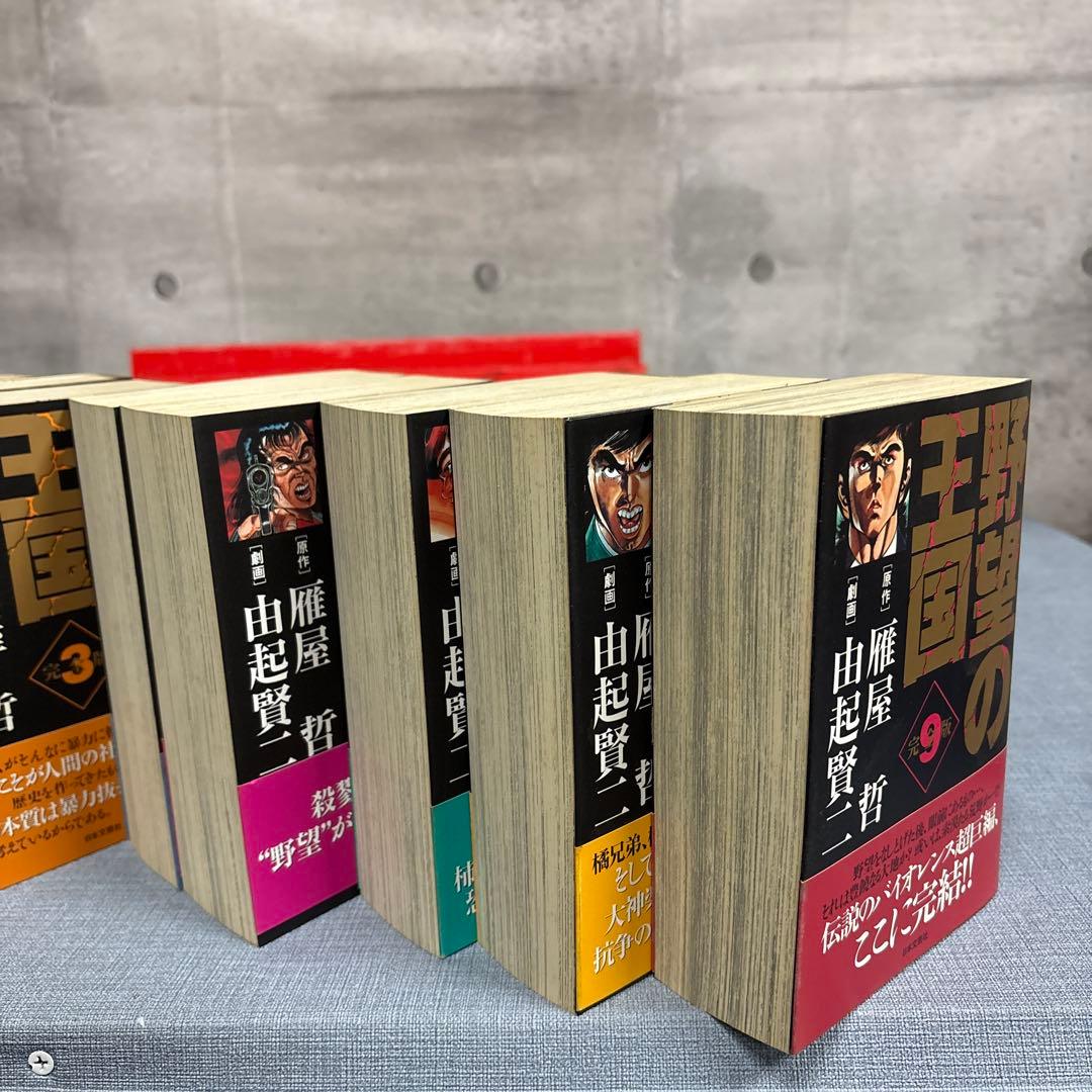 ☆野望の王国　１巻〜９巻　全巻セット