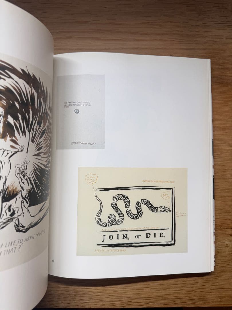 【希少本】Raymond Pettibon V-Boom ペティボン
