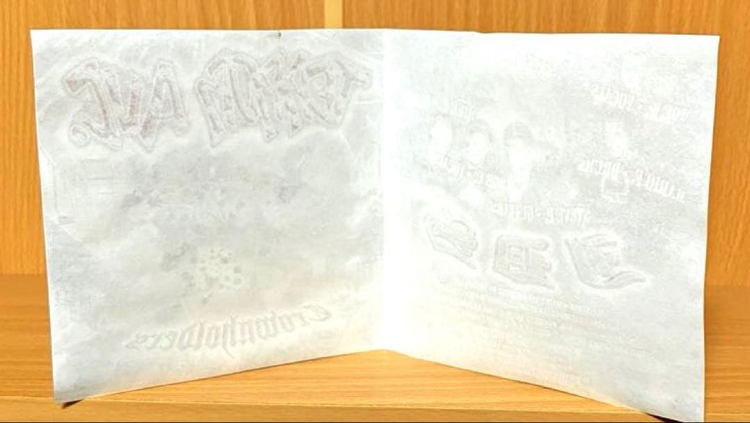 ［入手困難］ TERROR AVE／CROWNHOLDERS