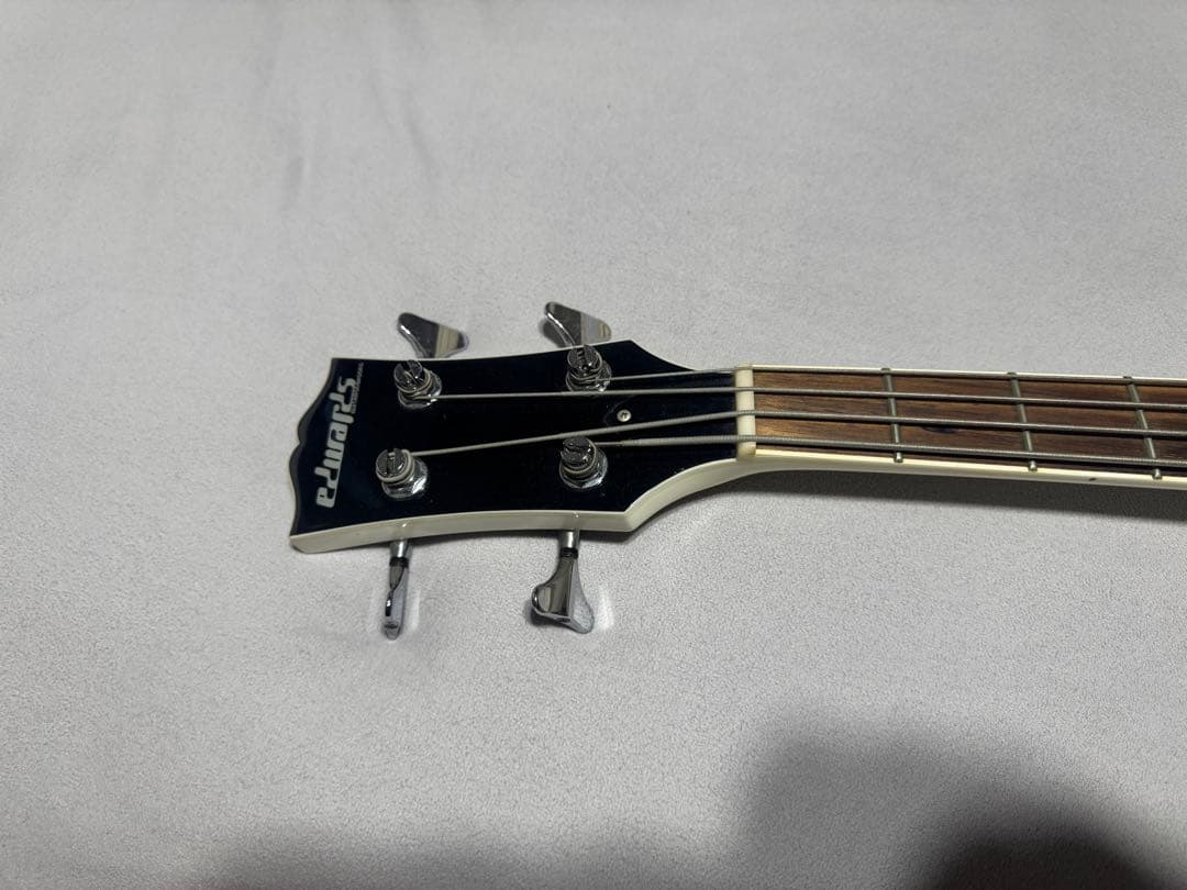 EDWARDS トシヤシグネーチャーモデル　E-T-100TR