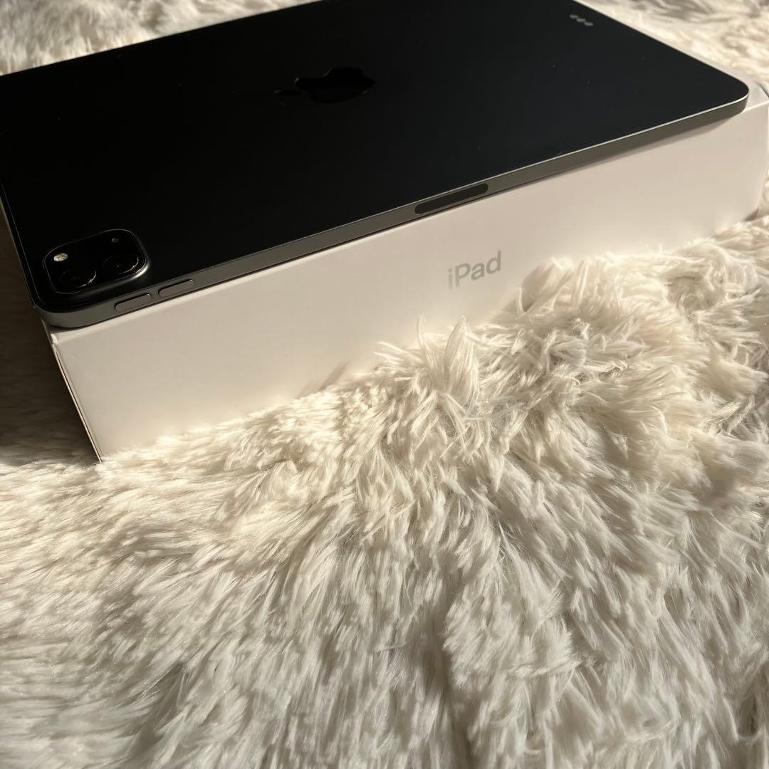 【美品】iPad Pro 11インチ 第2世代 512GB 【すぐ発送】