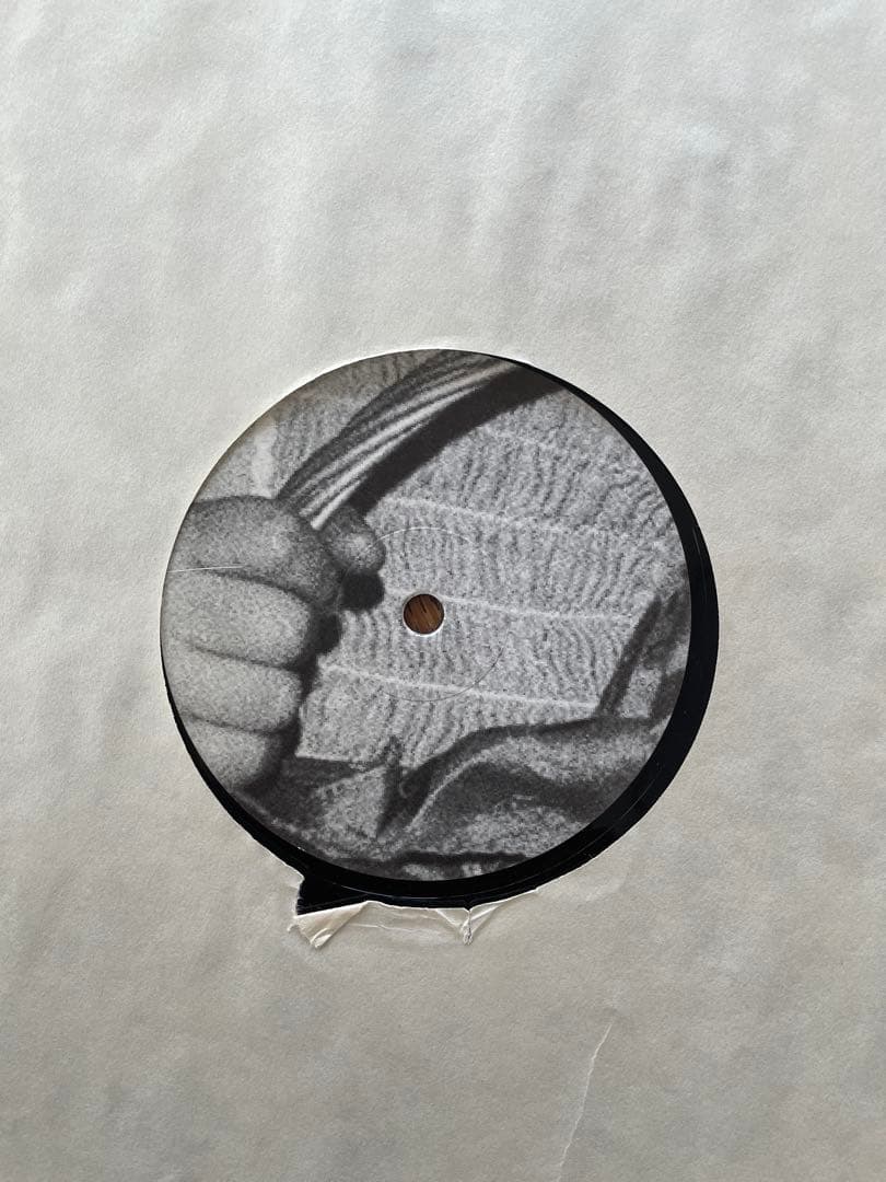 その他 Dwig Forget The Pink Elephant 2LP 12\"