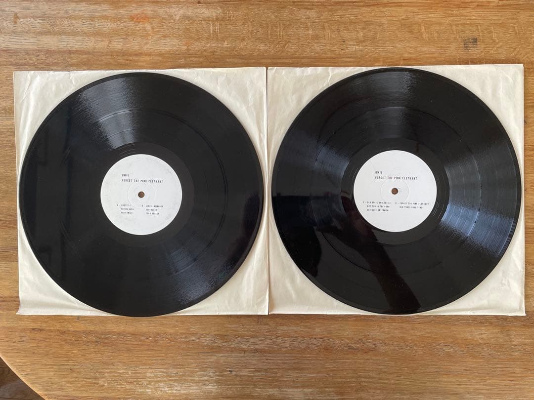 その他 Dwig Forget The Pink Elephant 2LP 12\"