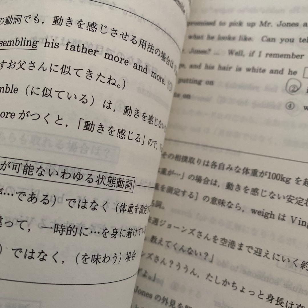 代ゼミテキスト プレミアム英文正読演習　冬期直前講習会 佐藤ヒロシ 佐藤浩司