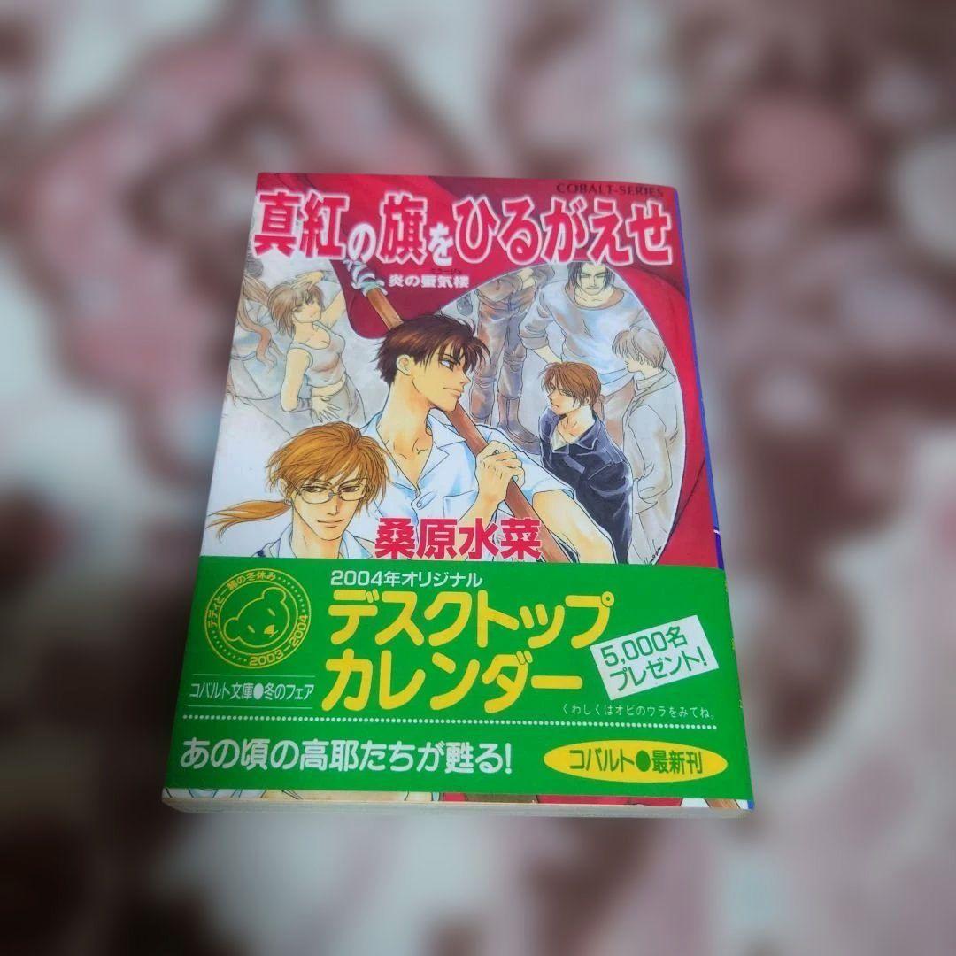 炎の蜃気楼　桑原水菜　１巻〜４０巻（３５巻抜け）