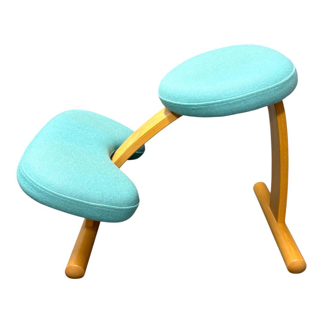 【美品】カバー付き　Rybo社 リボ社 バランスチェア バランスイージー