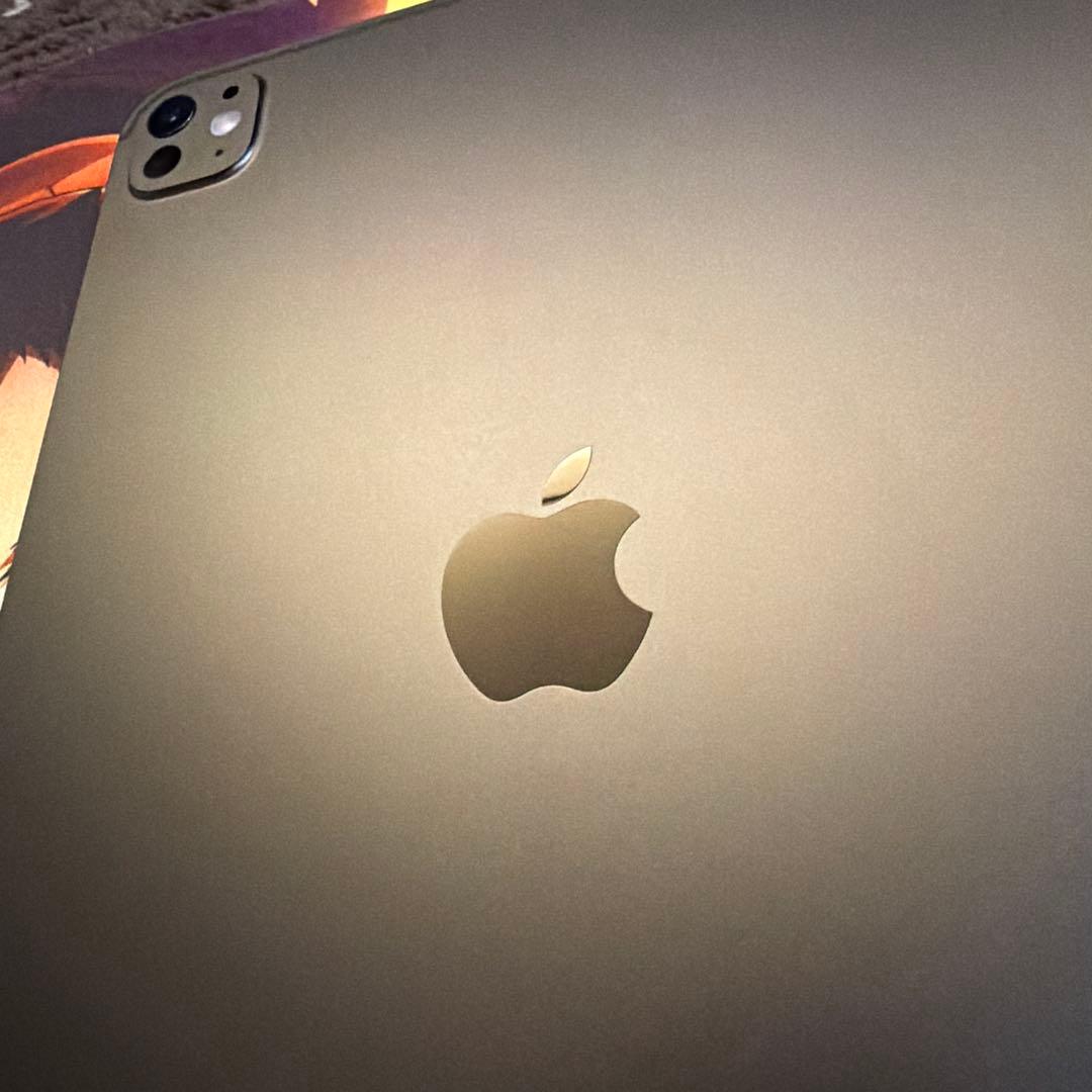 iPad Pro Wi-Fiモデル　11インチ　256GB M4