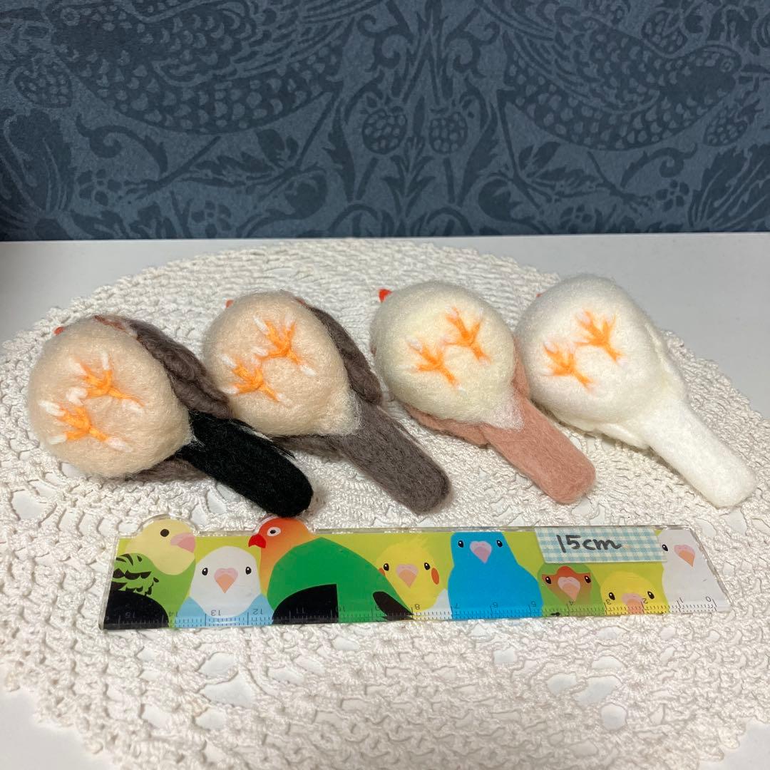 キンカチョウ☆錦華鳥☆実物大☆4点セット