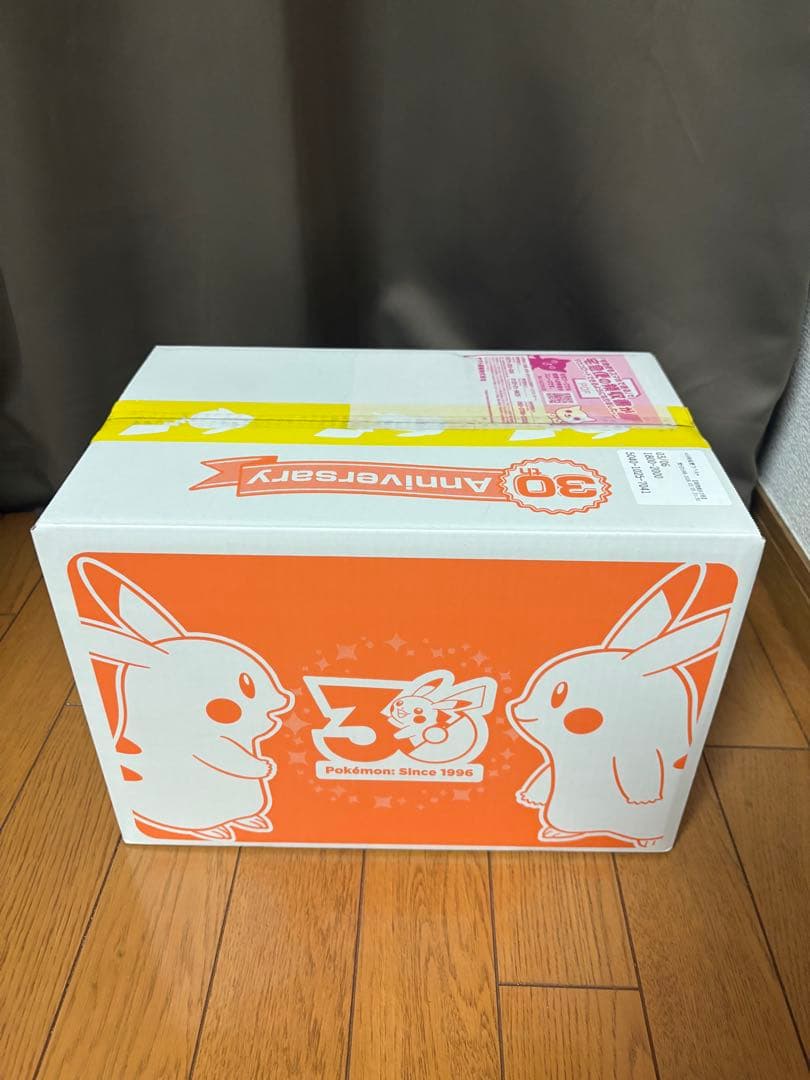y*q様 はじまりのピカチュウ