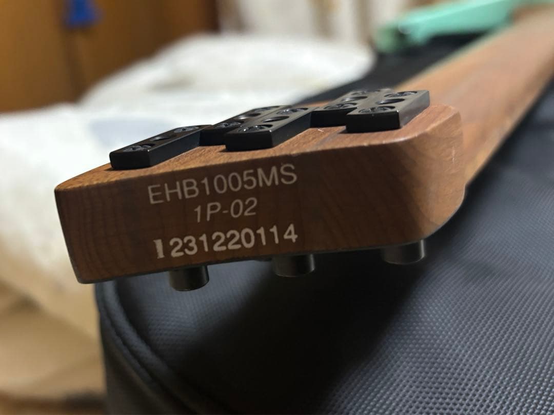 Ibanez ehb1005 5弦ヘッドレスベース