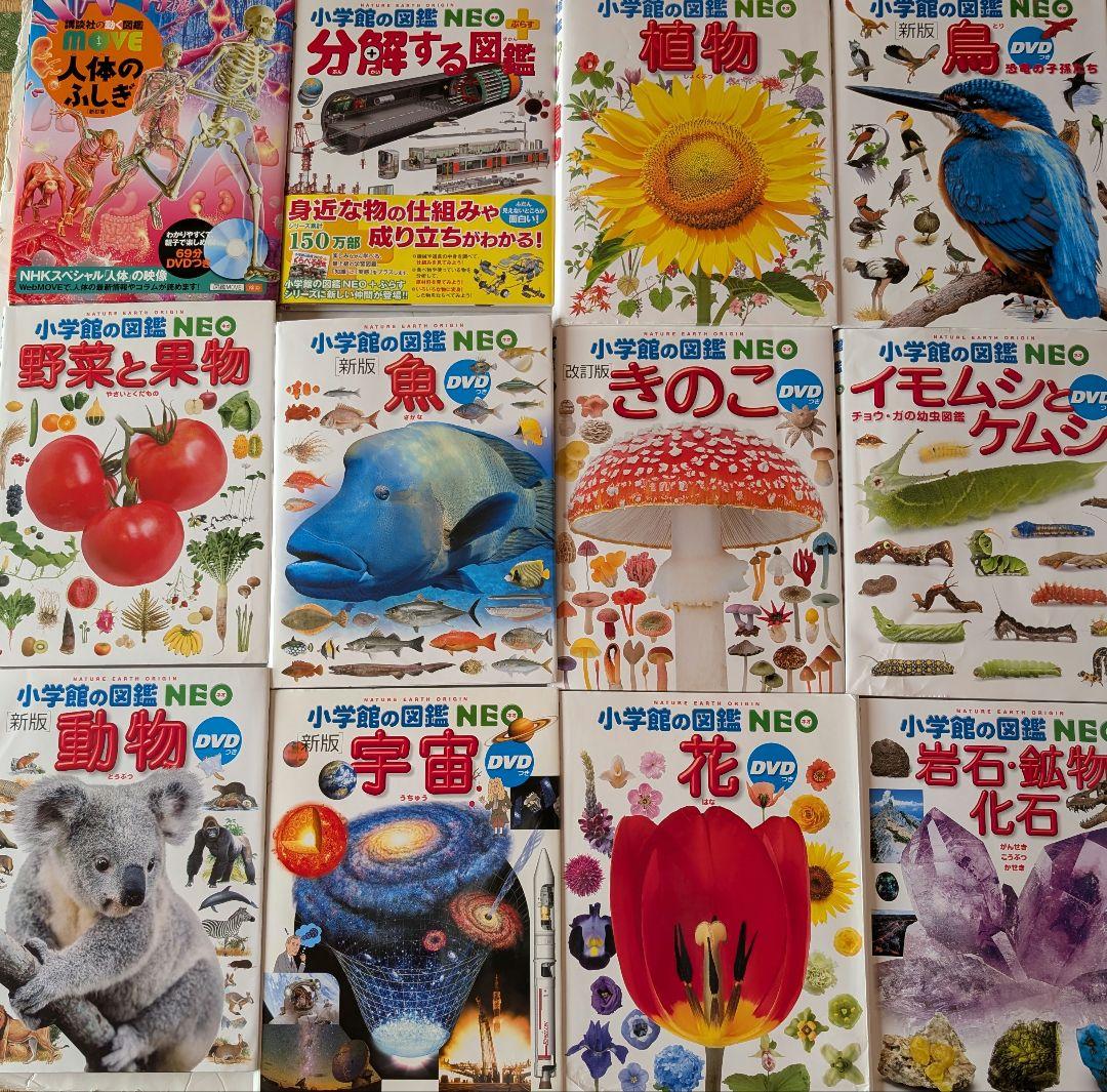 図鑑 12巻セット