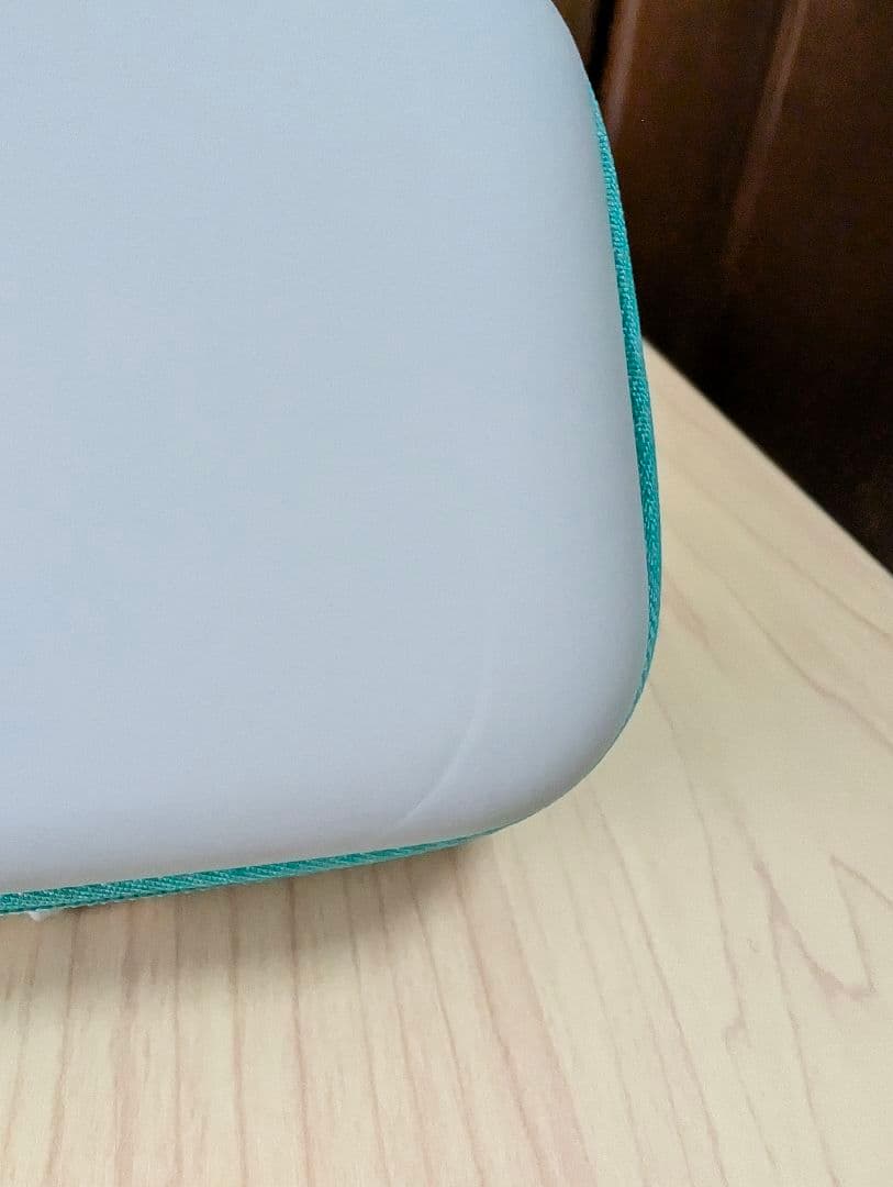 Nintendo Switch Lite イエロー ケースと充電器付き