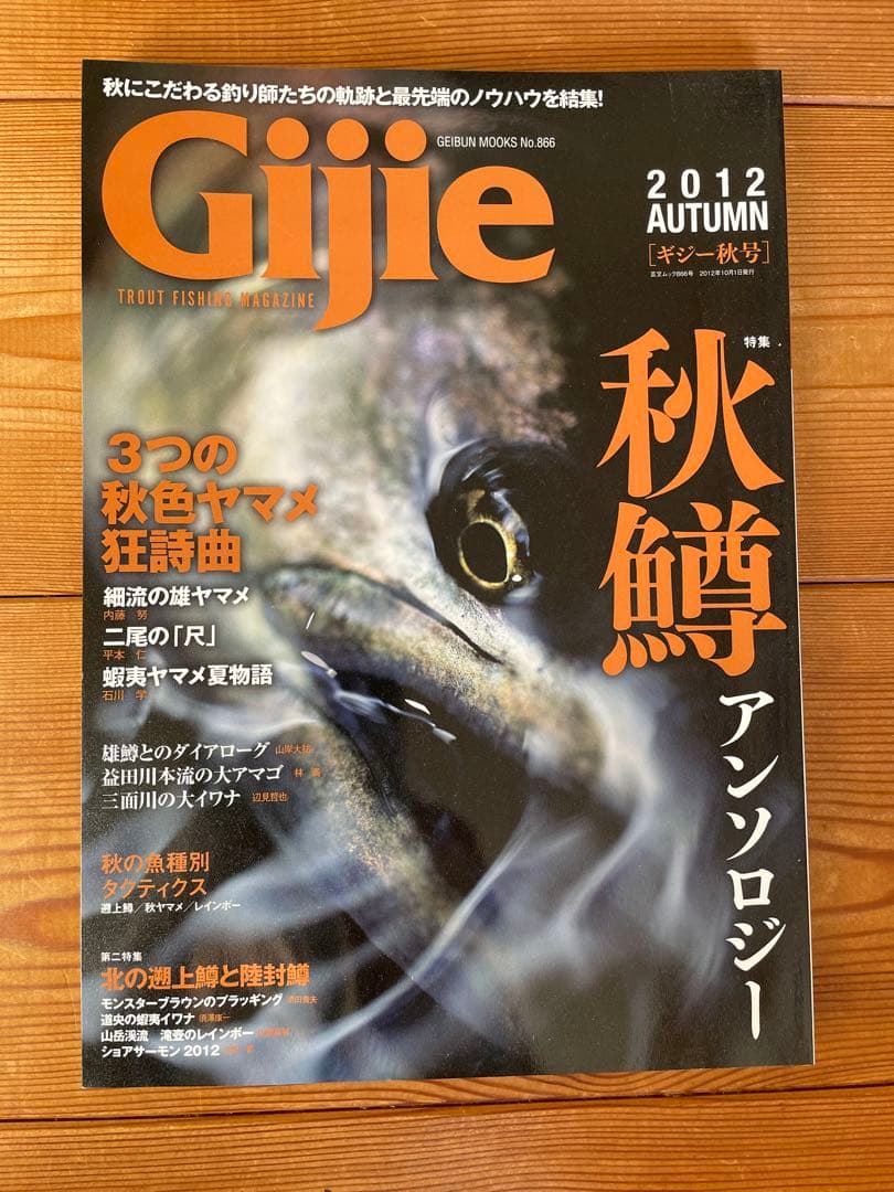 Gijie ギジー　13冊セット