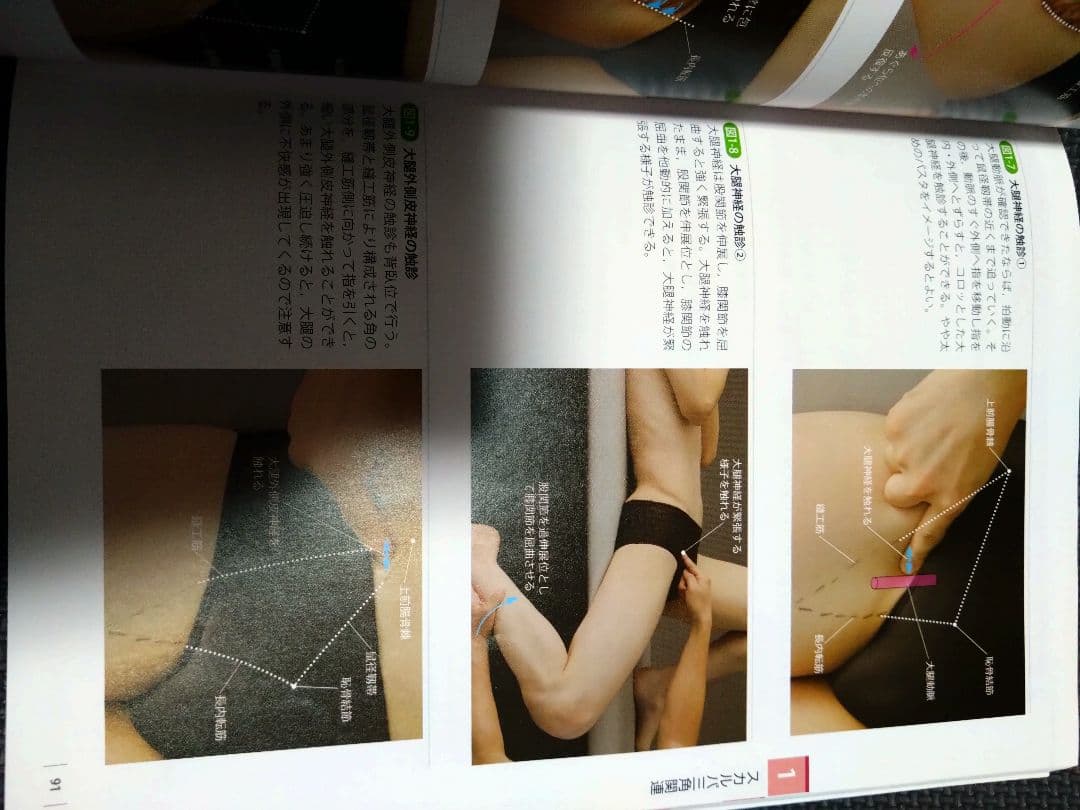 触診技術　理学療法　作業療法　qb　PT OT 国家試験　実習　新人　リハ即配送