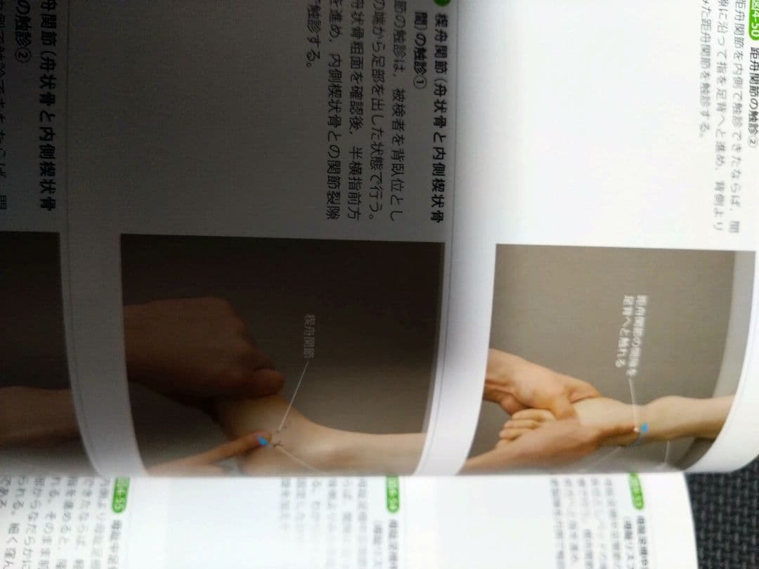 触診技術　理学療法　作業療法　qb　PT OT 国家試験　実習　新人　リハ即配送