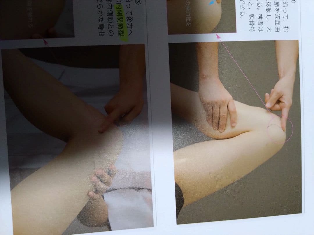 触診技術　理学療法　作業療法　qb　PT OT 国家試験　実習　新人　リハ即配送