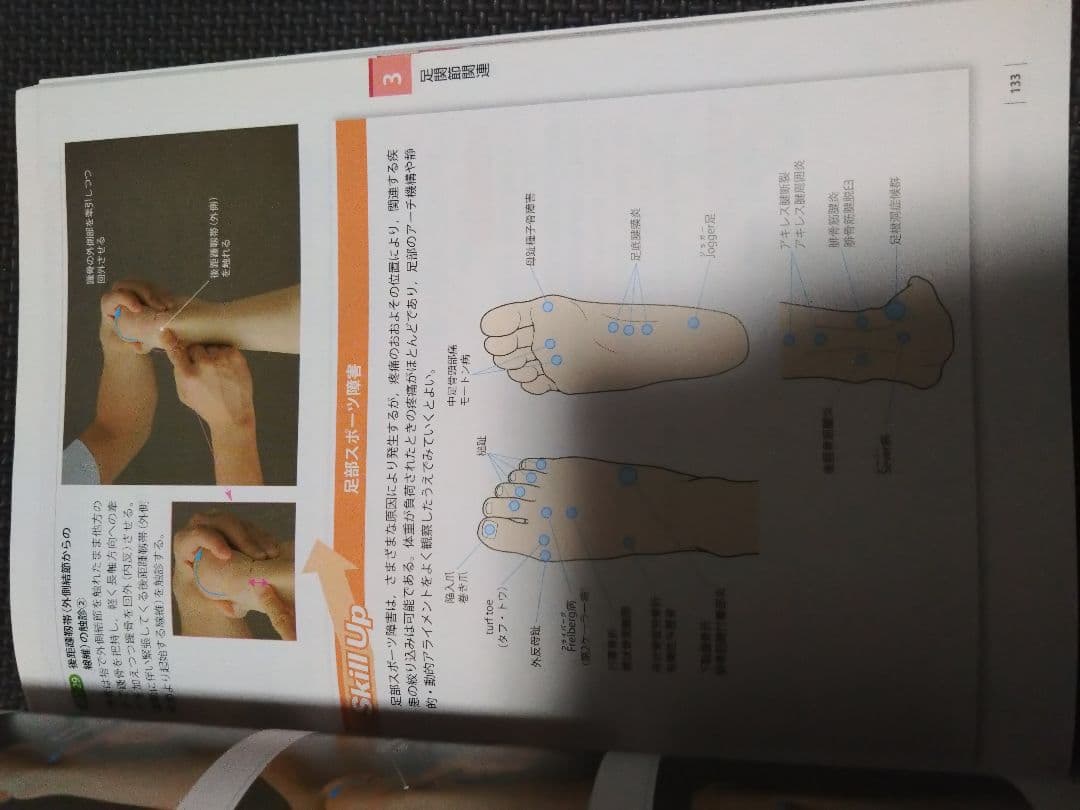 触診技術　理学療法　作業療法　qb　PT OT 国家試験　実習　新人　リハ即配送