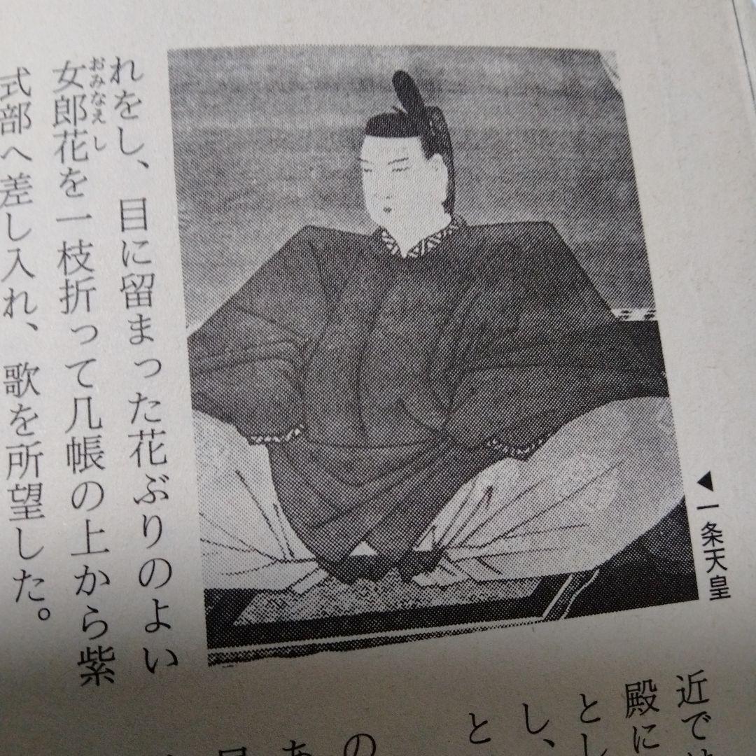 藤原一門 魔族 歴史と旅 道長 紫式部 彰子 道隆 定子 清少納言 兼家 光る君