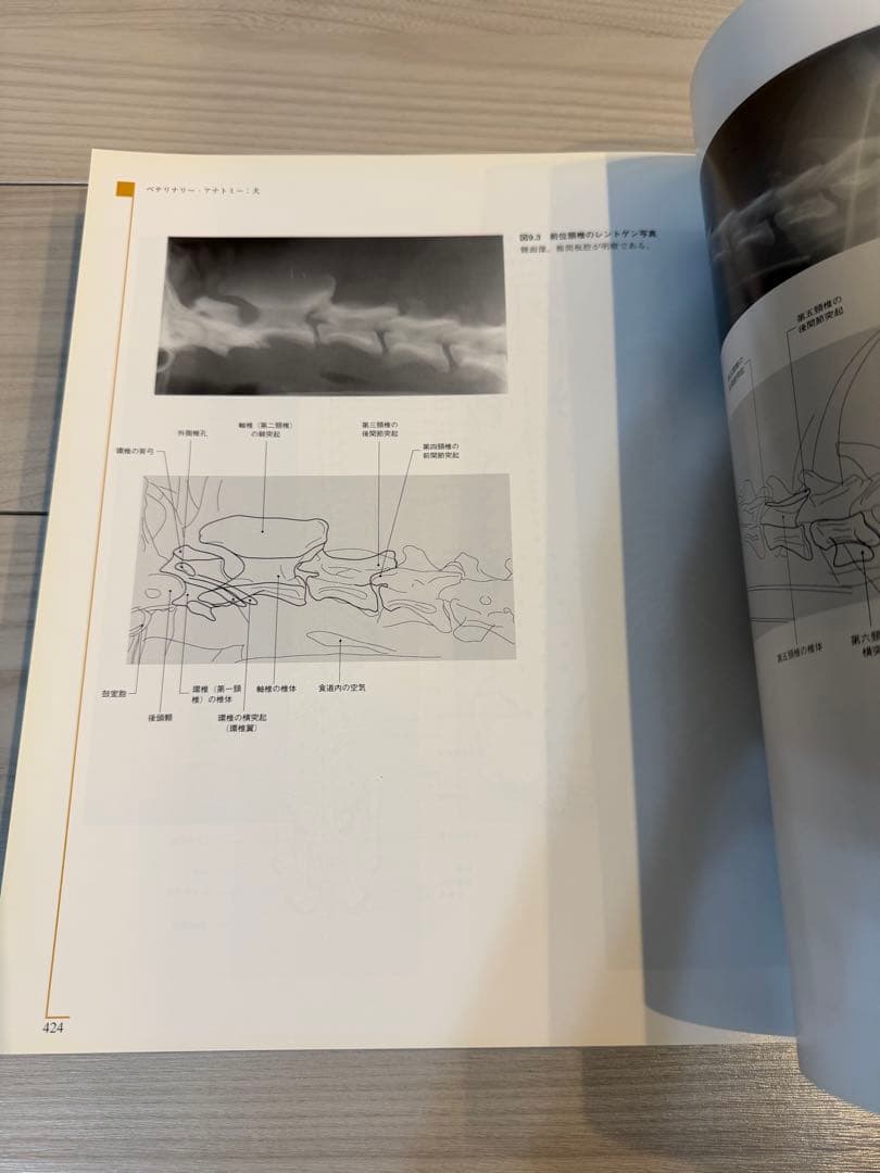 Color Atlas of Veterinary Anatomy解剖学アトラス