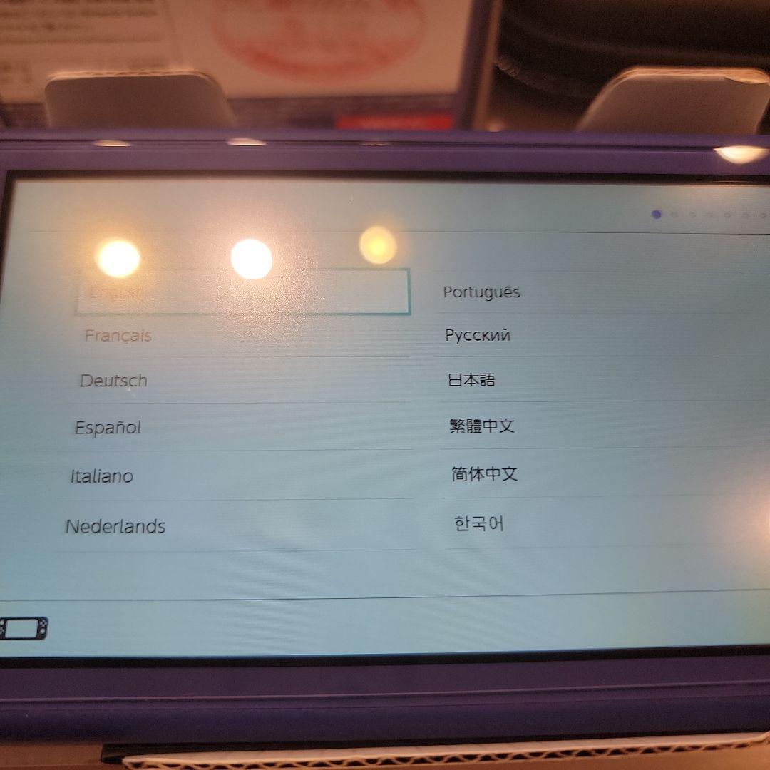 Nintendo Switch Lite 青色 充電器・ケース付き