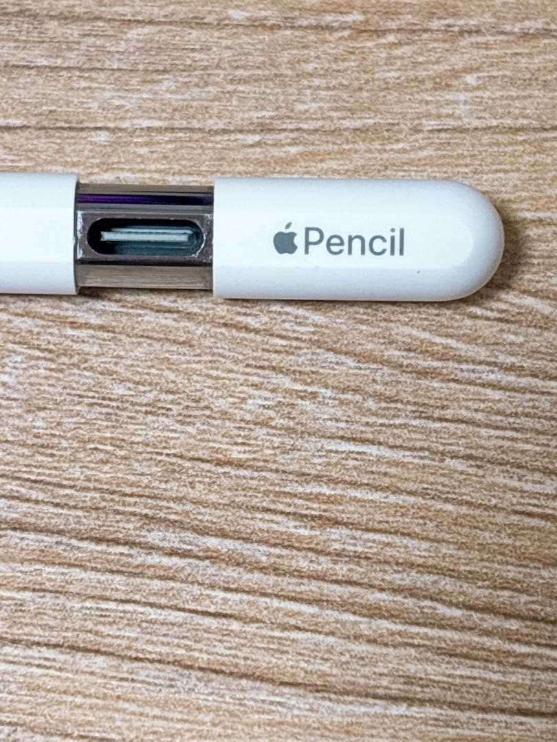 iPadアクセサリー Apple pencil USB Type-C