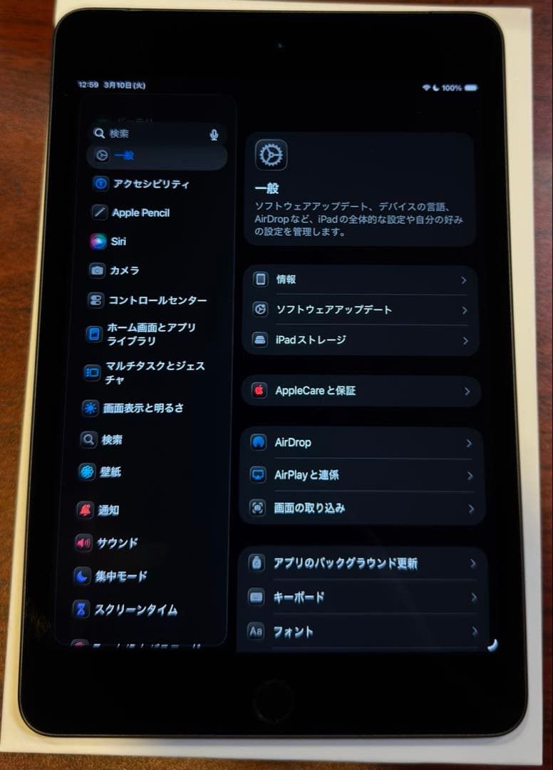 iPadmini 5 256GB セルラーモデル スペースグレイ