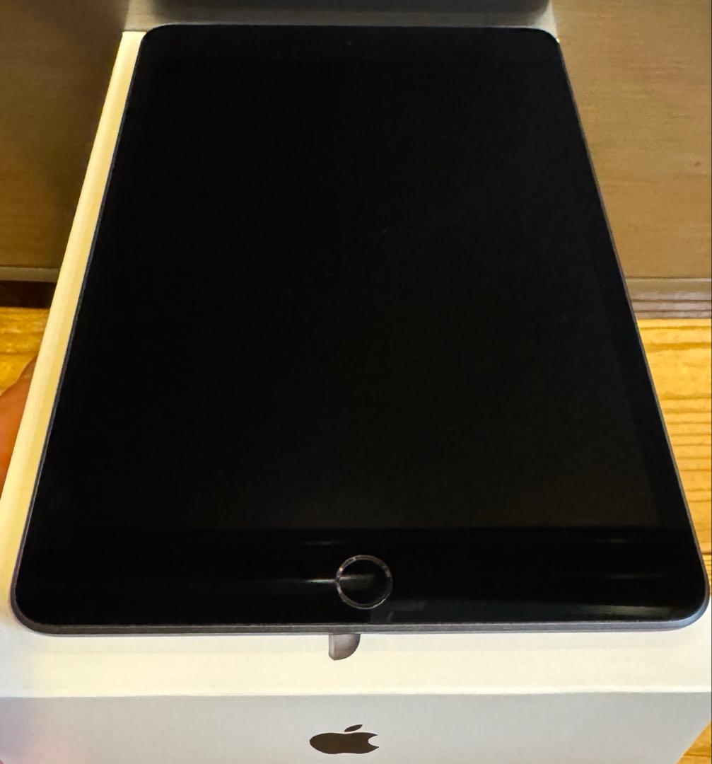 iPadmini 5 256GB セルラーモデル スペースグレイ