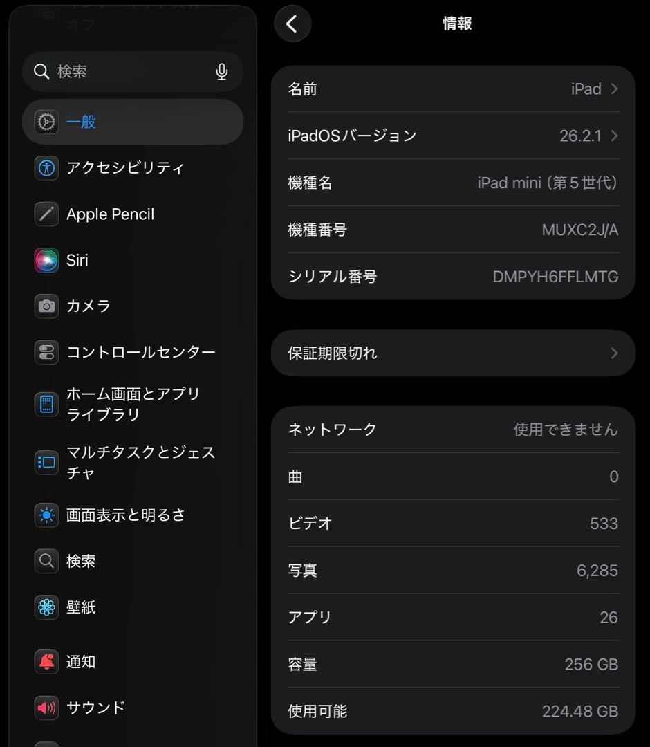 iPadmini 5 256GB セルラーモデル スペースグレイ