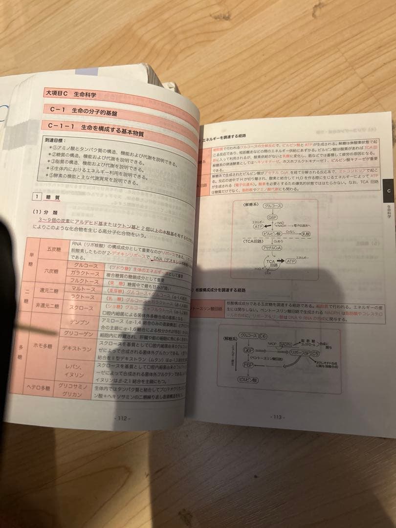 CBT辞典　L