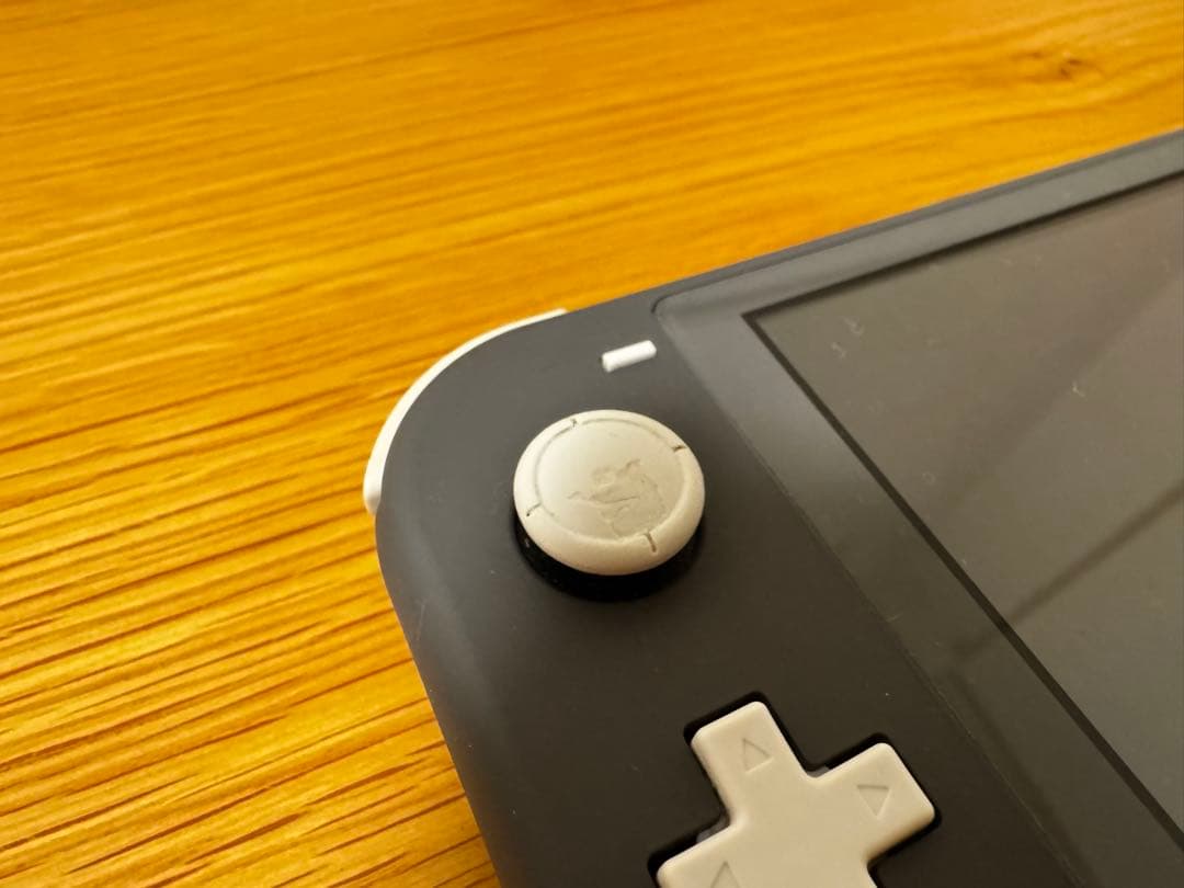 Nintendo Switch Lite グレー 充電器・ケース・フィルム付
