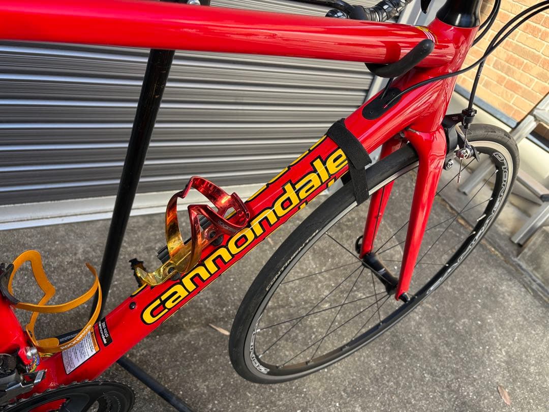 CAAD13 復刻限定カラー