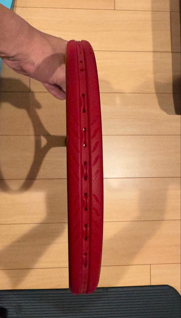 BEAST 100 テニスラケット