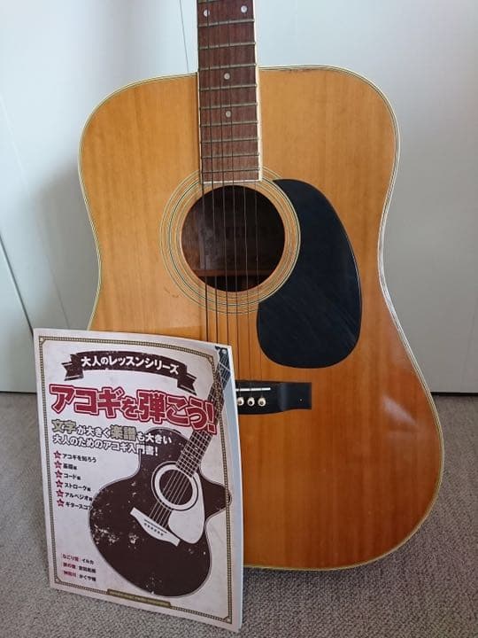 VENUSギター SK20    ギター