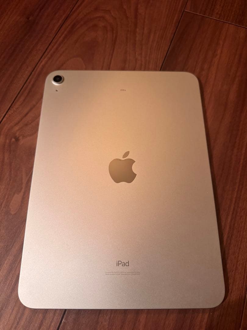 iPad 第10世代 WiFiモデル 256GB + Apple pencil