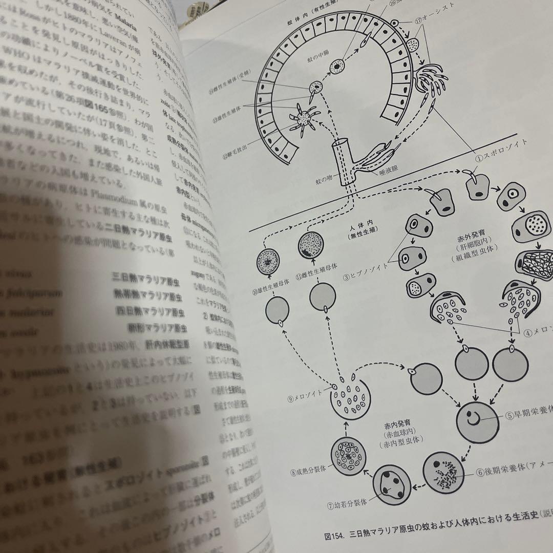 図説人体寄生虫学 改訂10版