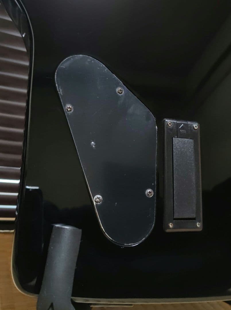 ギター Epiphone Limited Edition 1984 Explorer