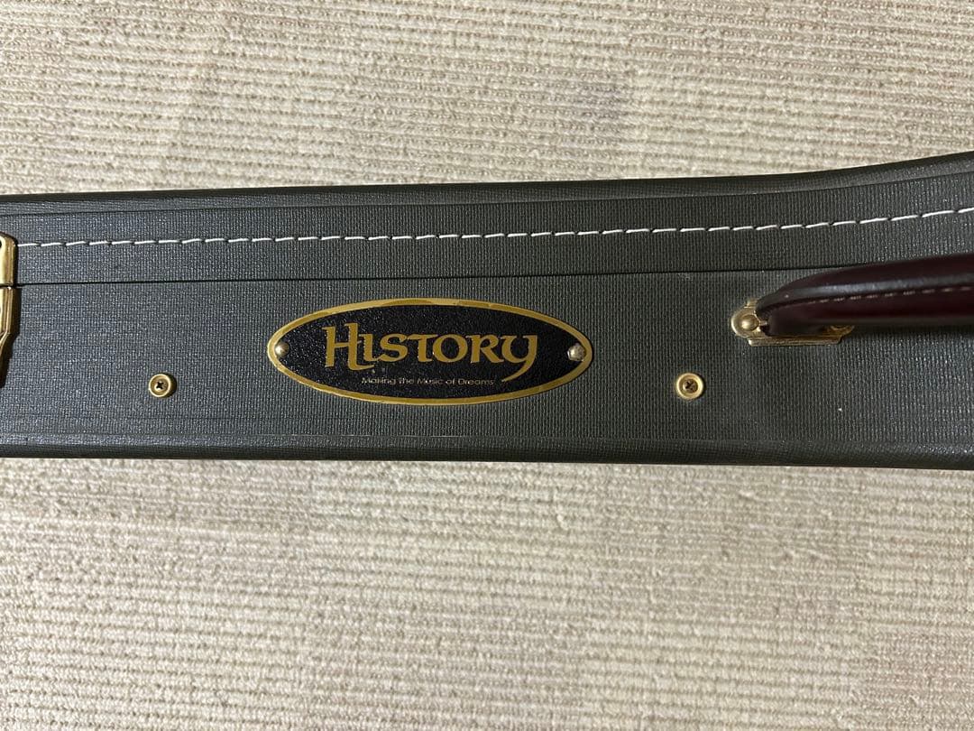 【mccさん専用】フジゲンHISTORY レスポールモデルTH-LS FM AM