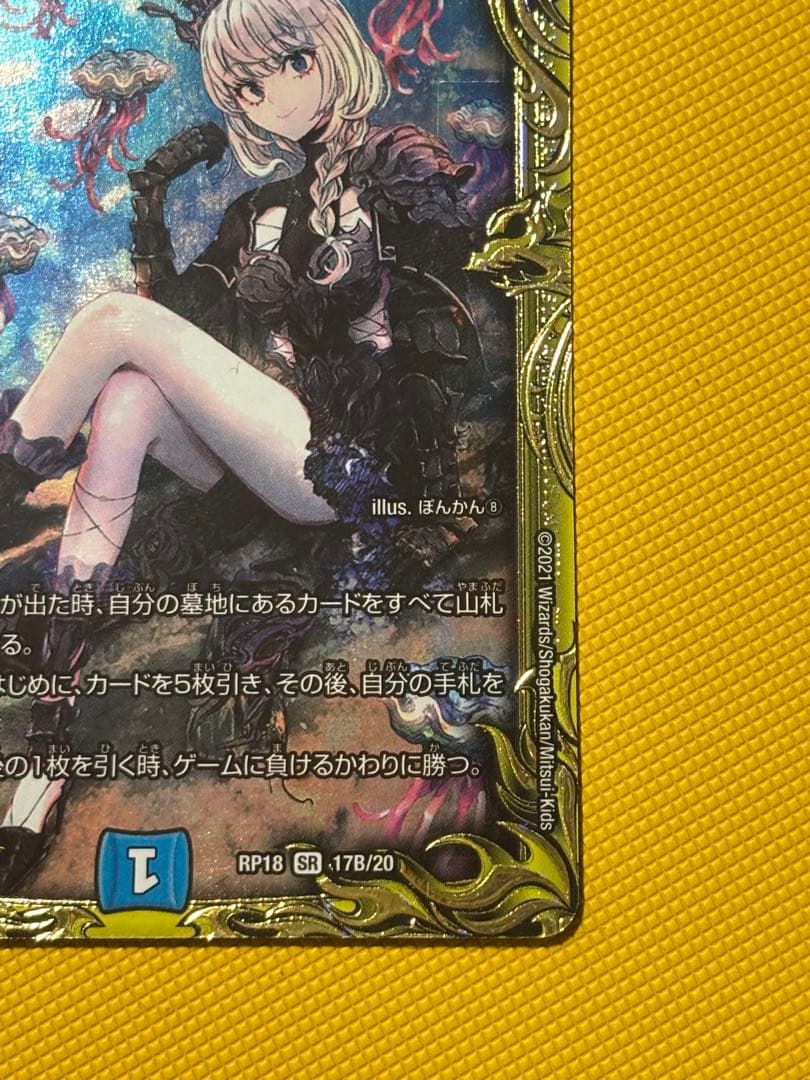 シャコガイルＢ　20th