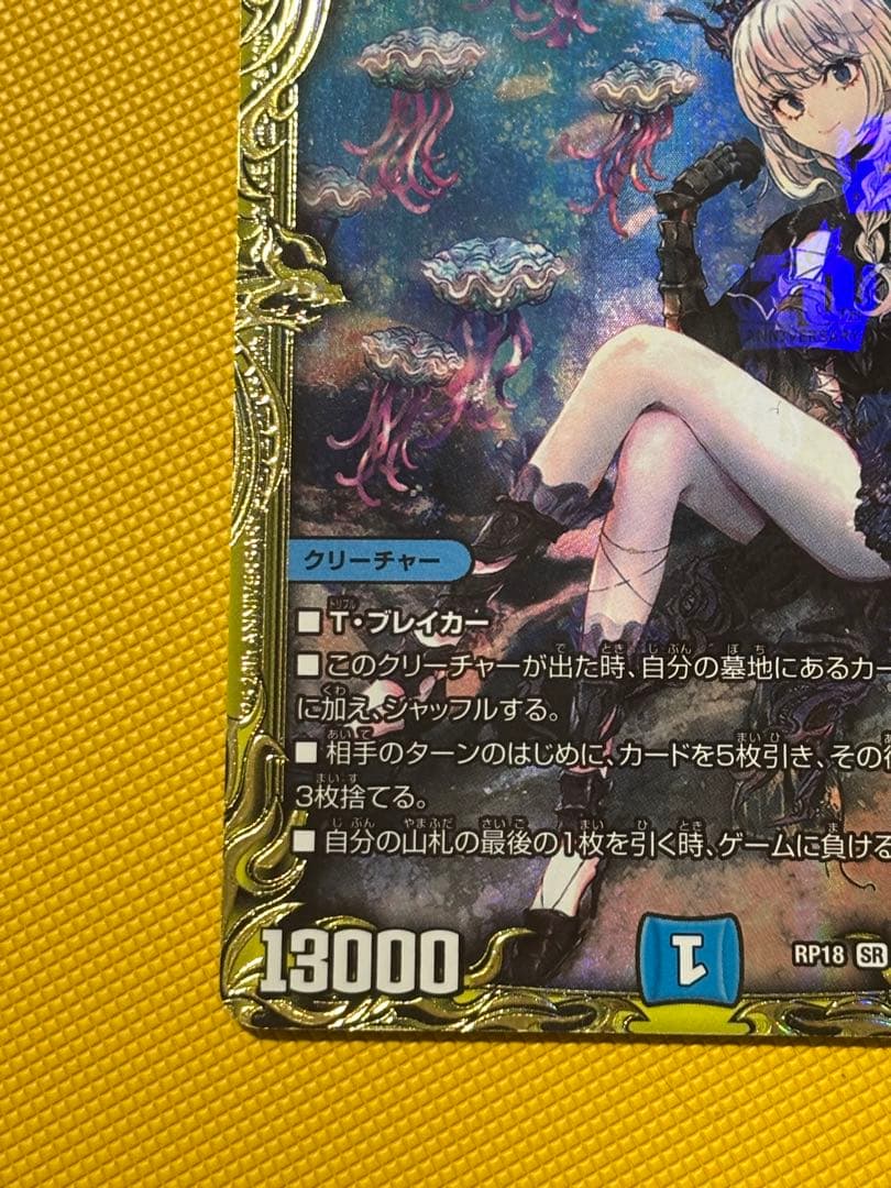 シャコガイルＢ　20th