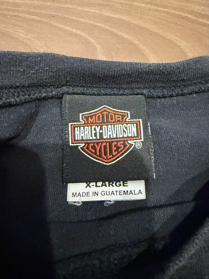 XL harley davidson 袖フレイム ロンT flame フェード