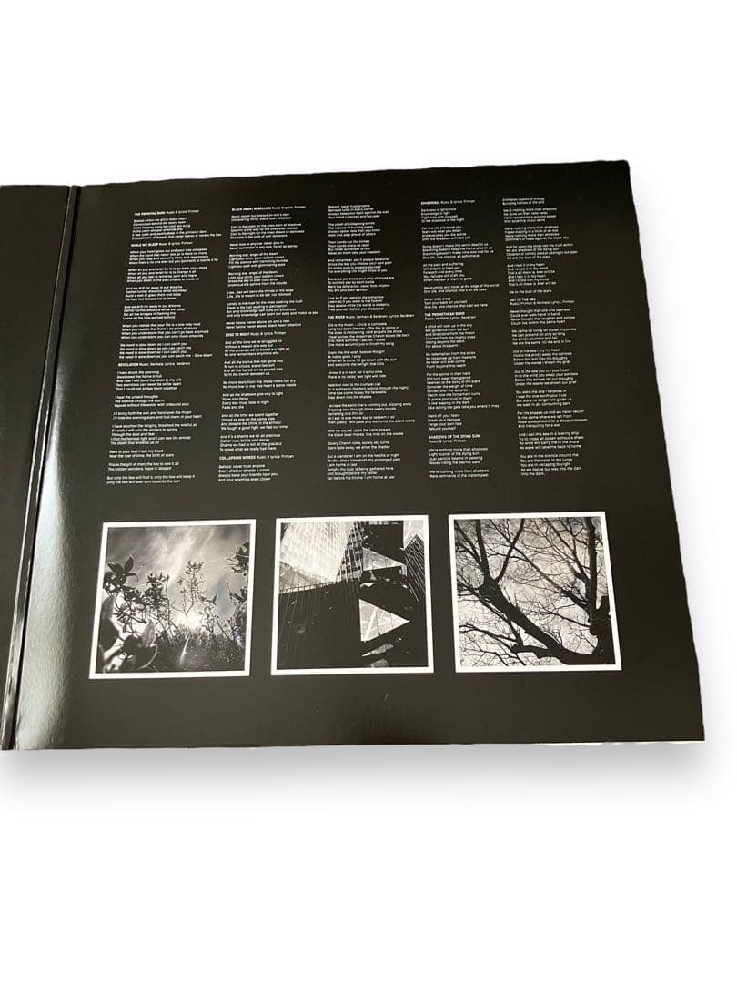 【2枚組】LP INSOMNIUM shadows of the dying