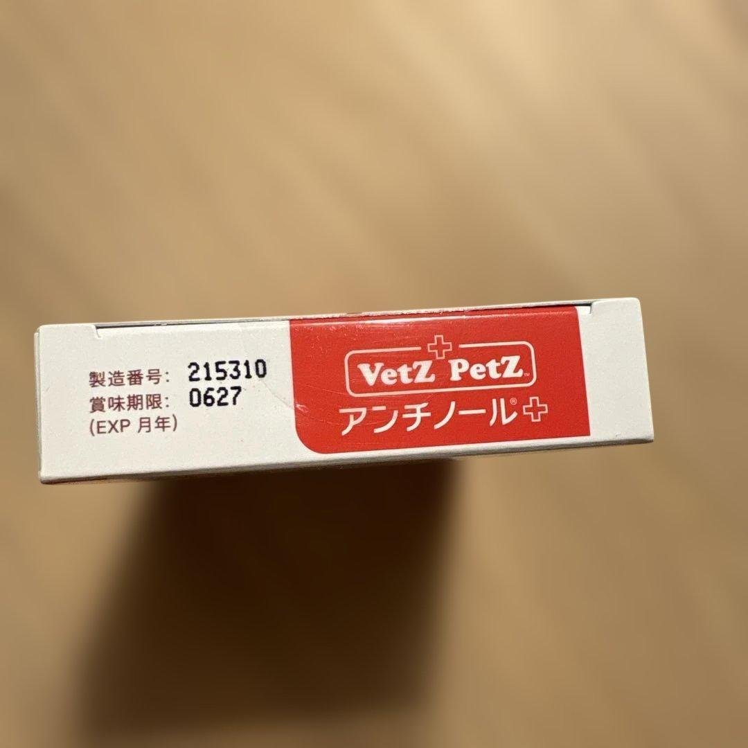 アンチノール　プラス　60粒